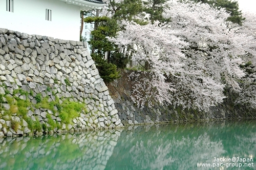 富山城跡