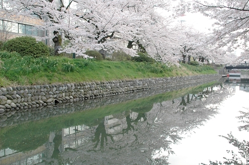 富山城跡