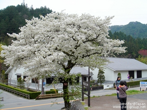 妻籠馬籠古街道