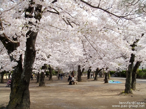 松本城