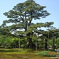 兼六園