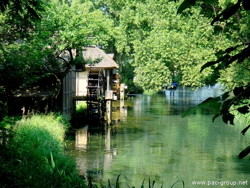 安曇野大王山葵園 (2).jpg