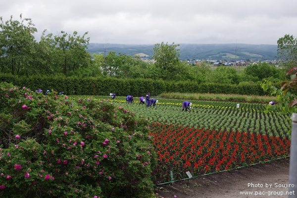 富田農場 (12).jpg