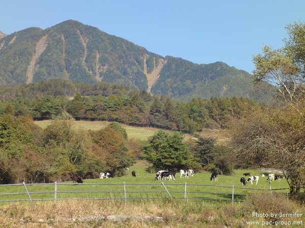 八個岳牧場 (27).jpg