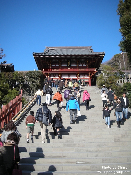 D2-2 鶴岡八幡宮 (1).jpg D2-2 鶴岡八幡宮 (1).jpg