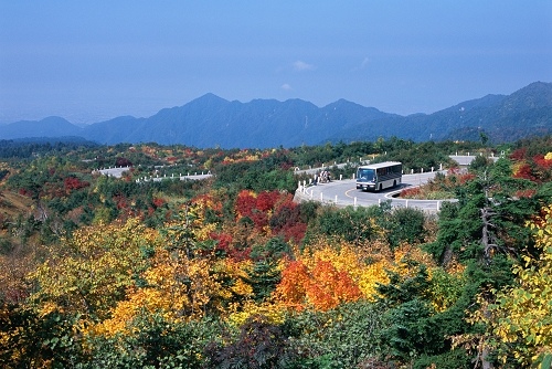 黑部立山‧高原巴士