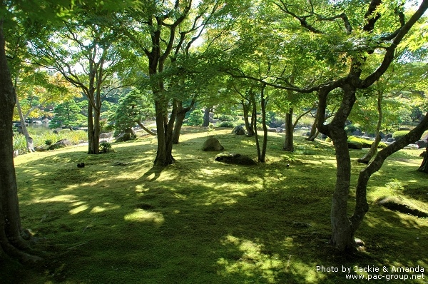 由志園牡丹花園 (1).jpg