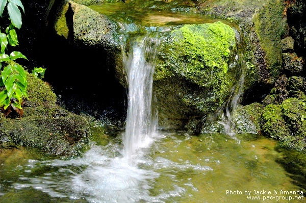 由志園牡丹花園 (15).jpg