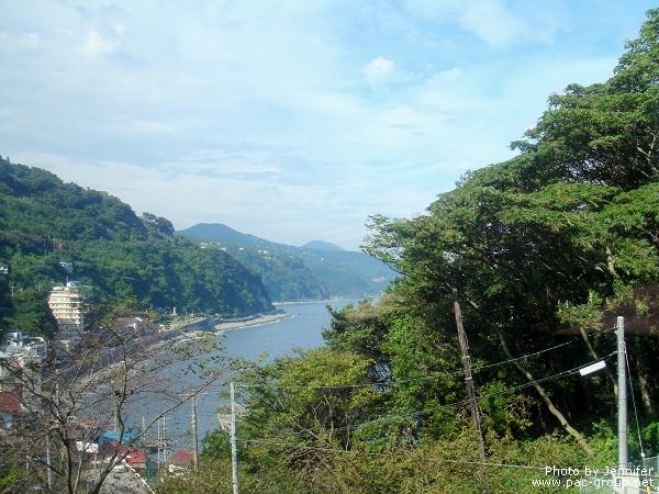 伊豆急賞海列車 (8).jpg