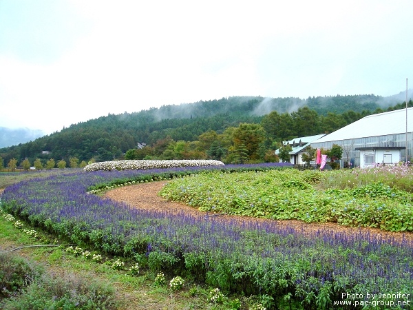 花之都公園 (2).jpg