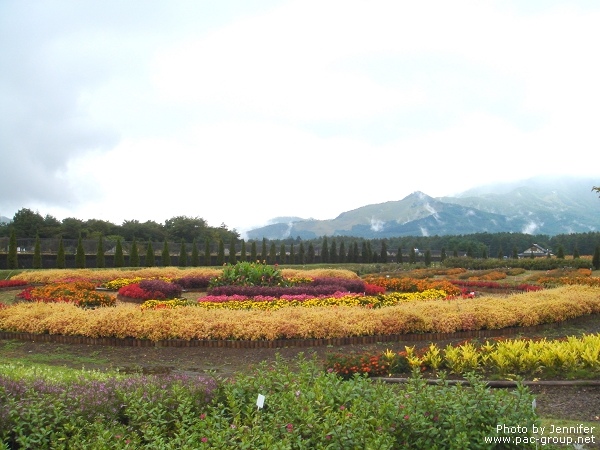 花之都公園 (5).jpg