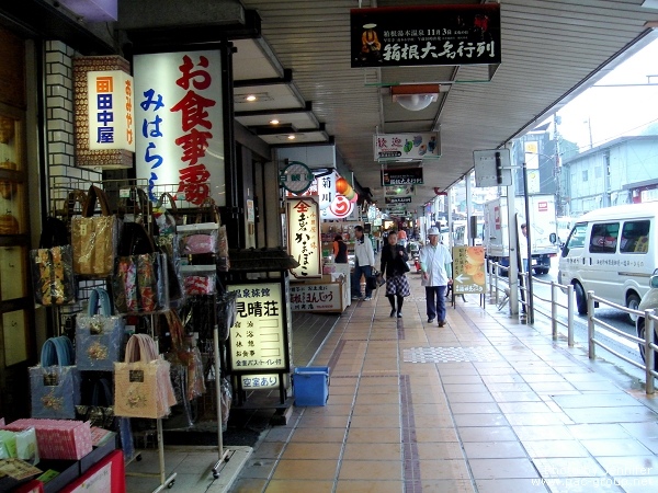 箱根登山電車：箱根湯本 (4).jpg