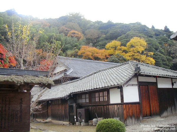 石見銀山遺跡 (10).jpg