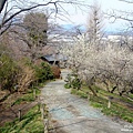 少林山達摩寺 (9).jpg