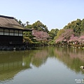 平安神宮‧神苑 (17).jpg