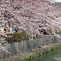 平安神宮‧神苑 (23).jpg