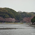 明石公園 (4).jpg