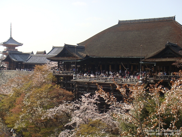 清水寺 (2).jpg