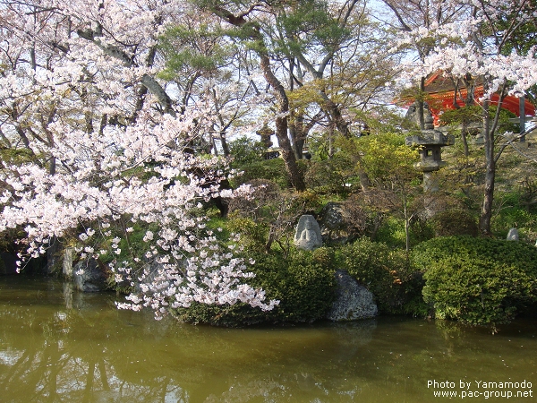 清水寺 (3).jpg