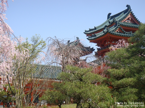 平安神宮‧神苑 (8).jpg