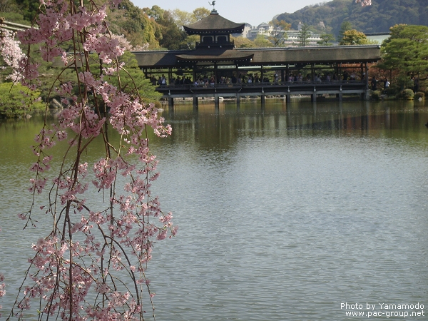 平安神宮‧神苑 (13).jpg