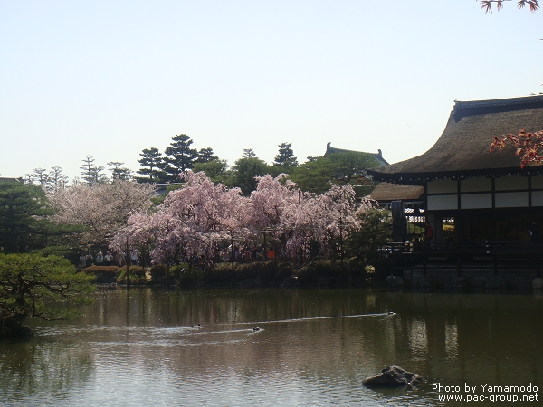 平安神宮‧神苑 (15).jpg