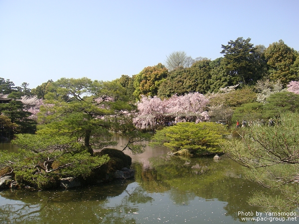 平安神宮‧神苑 (16).jpg