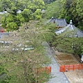 紀三井寺 (8).jpg