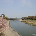 宮川堤公園 (1).jpg