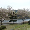 宮川堤公園 (3).jpg