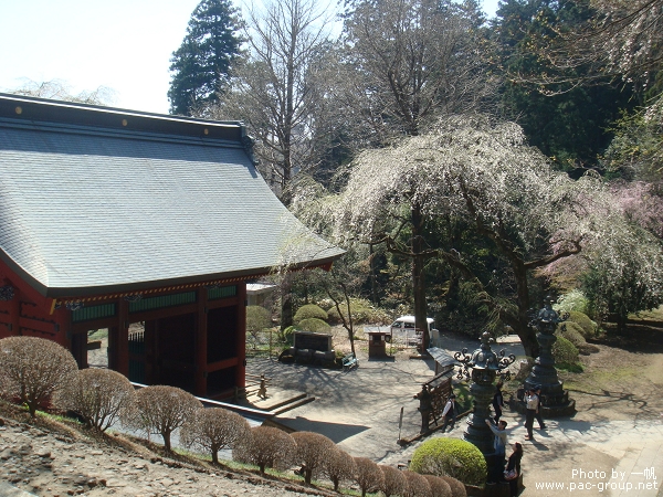 妙義神社 (6).jpg