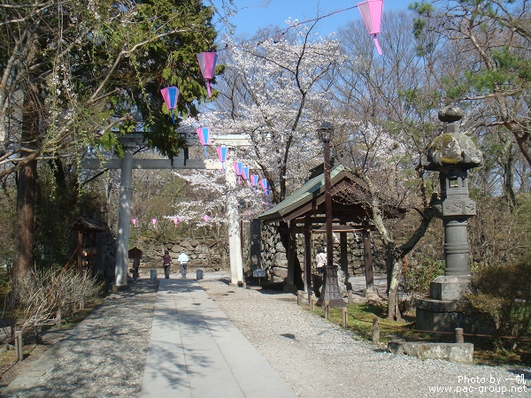 小諸懷古園 (9).jpg