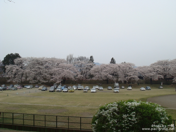 沼田城址公園 (4).jpg