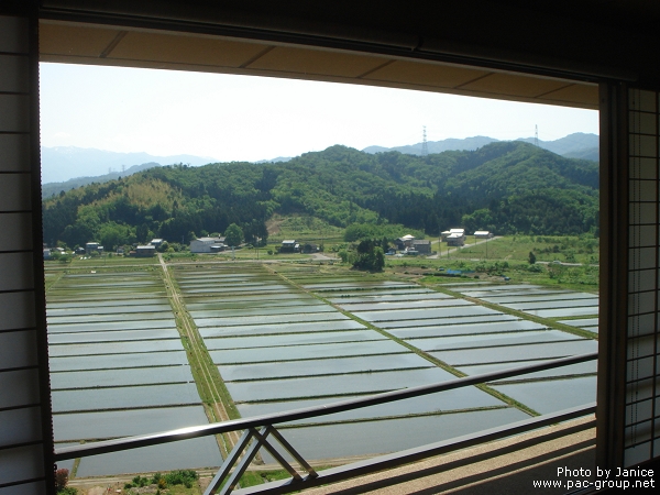 白玉之湯華鳳 (80).jpg 白玉之湯華鳳 (80).jpg