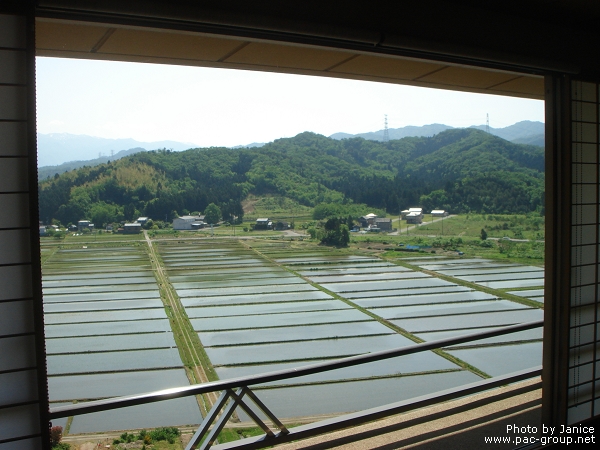 白玉之湯華鳳 (80).jpg