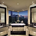 Bathroom Selected Suites2.jpg