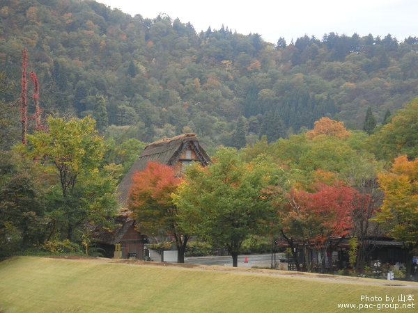 白川鄉合掌村 (52).jpg