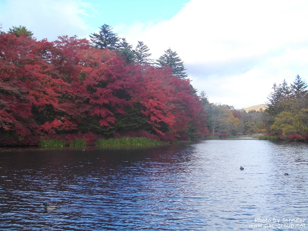 輕井澤 雲場池 (3).jpg