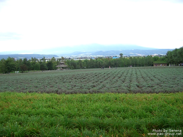 富田農場 (14).jpg