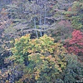 湯西川溫泉 花華飯店 (47).jpg