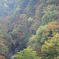 湯西川溫泉 花華飯店 (49).jpg