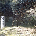 白兔海岸 (13).jpg