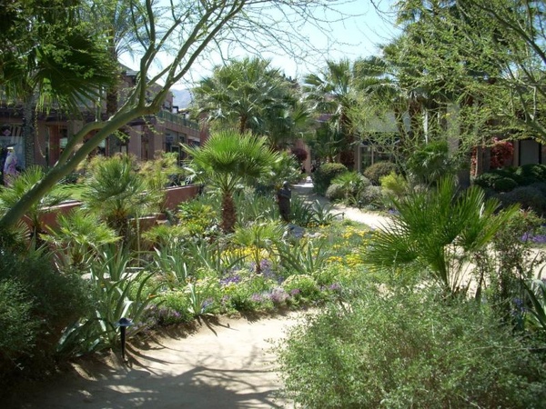 DSCN7651.JPG
