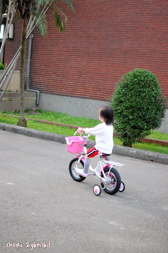DSC_5342.JPG DSC_5342.JPG