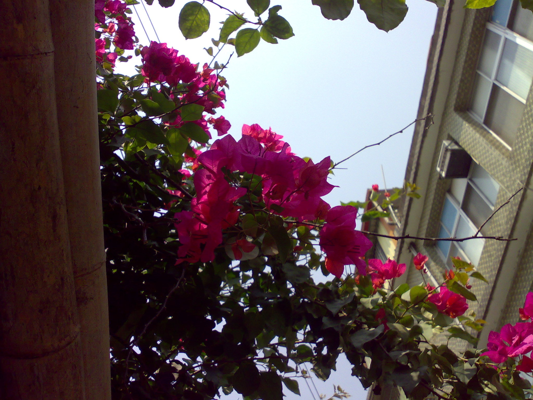 影像044.jpg 影像044.jpg
