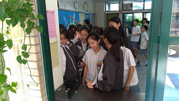 P_20191024_132659.jpg P_20191024_132659.jpg