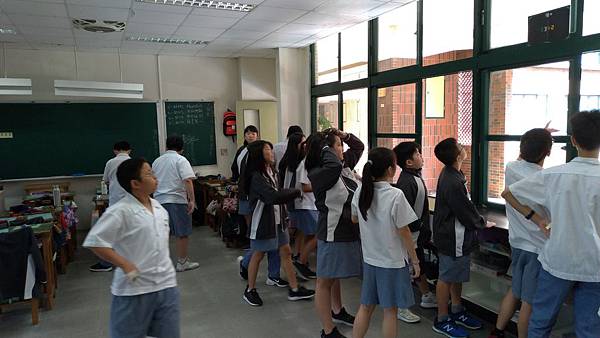 P_20191024_133228.jpg P_20191024_133228.jpg