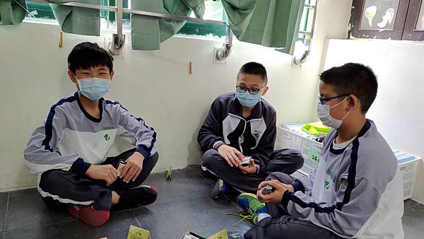 P_20200414_142026.jpg P_20200414_142026.jpg