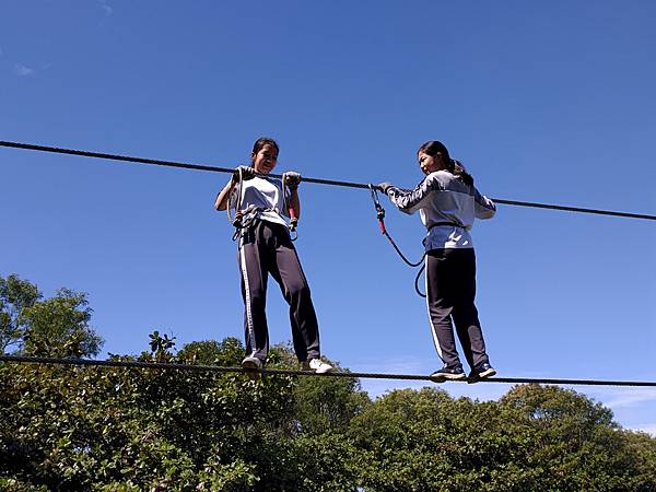 P_20201016_110410.jpg P_20201016_110410.jpg