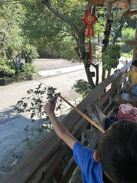 阿里山民宿--茶山部落--茶山95號客棧 阿里山民宿--茶山部落--茶山95號客棧